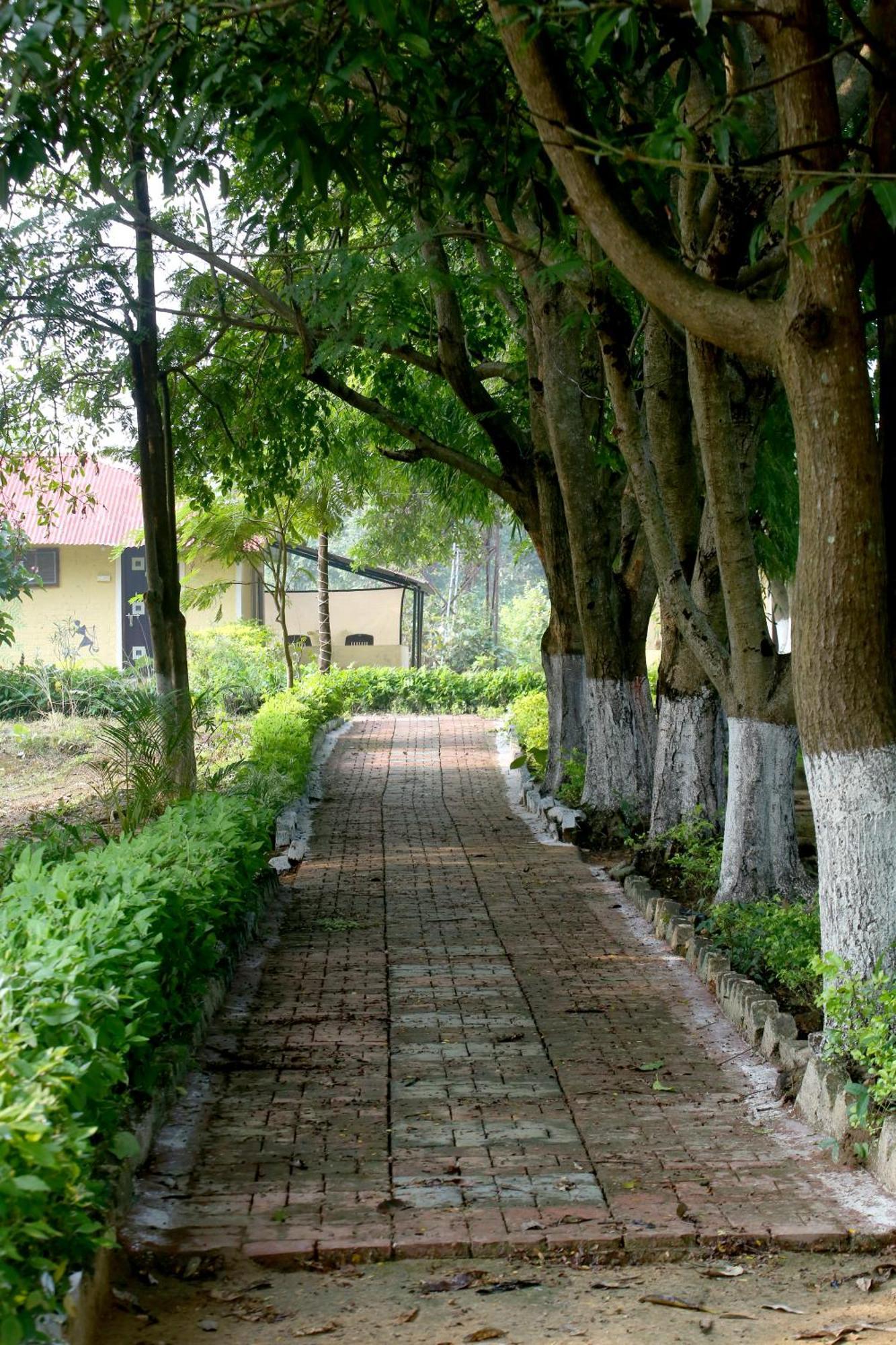 Tribal Wood Resort Dhanwār Eksteriør billede