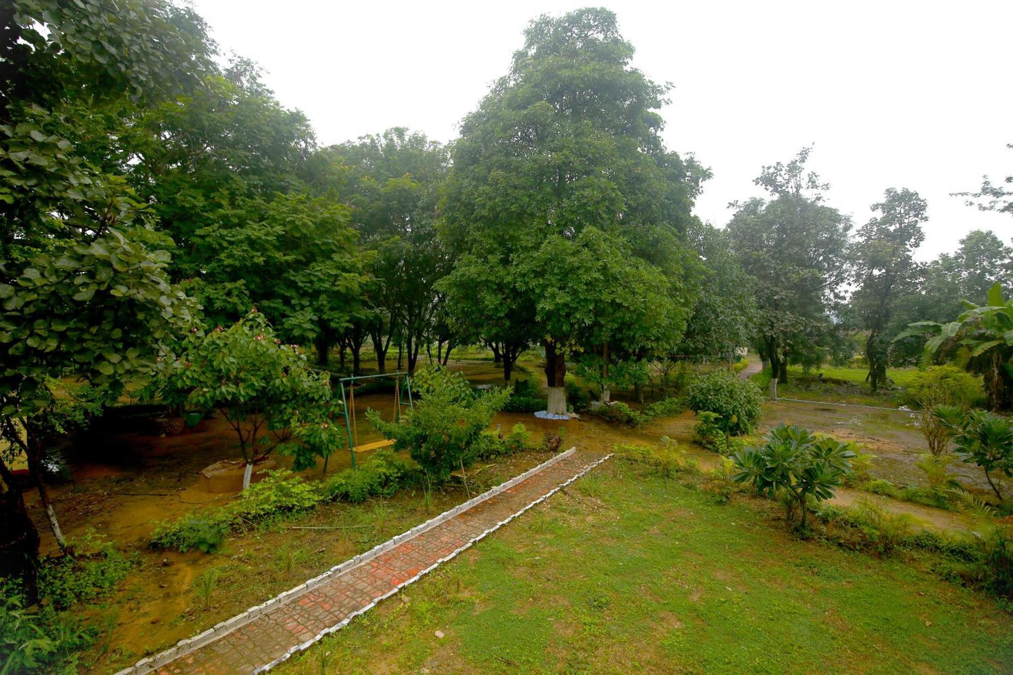 Tribal Wood Resort Dhanwār Eksteriør billede